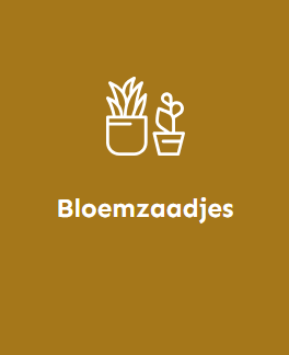 Bloemzaadjes