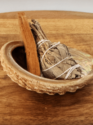 Schelp palo santo salie 9