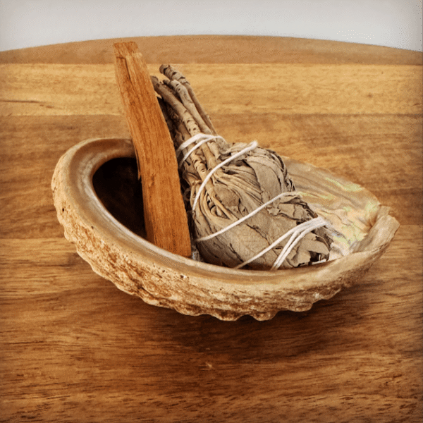 Schelp palo santo salie 9