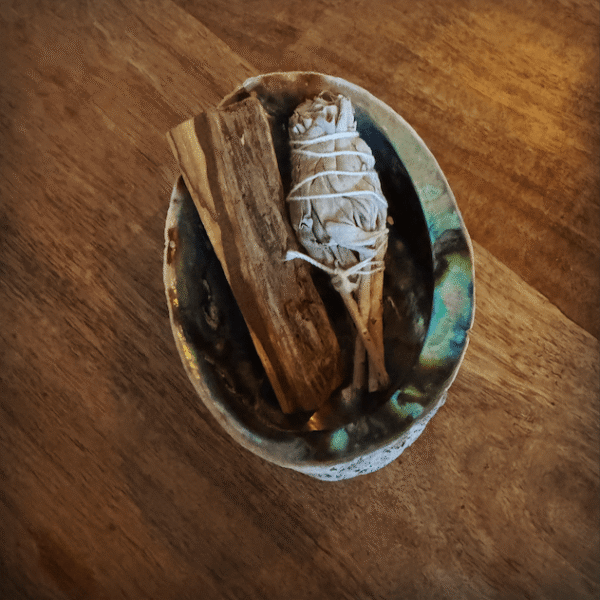 schelp palo Santo salie smudge
