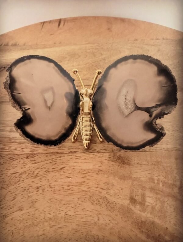 Agaat vlinder (goud) (2) Agaat vlinder (goud) (2)