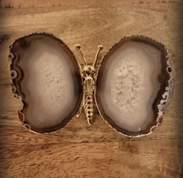 Agaat vlinder (goud) (4) Agaat vlinder (goud) (4)