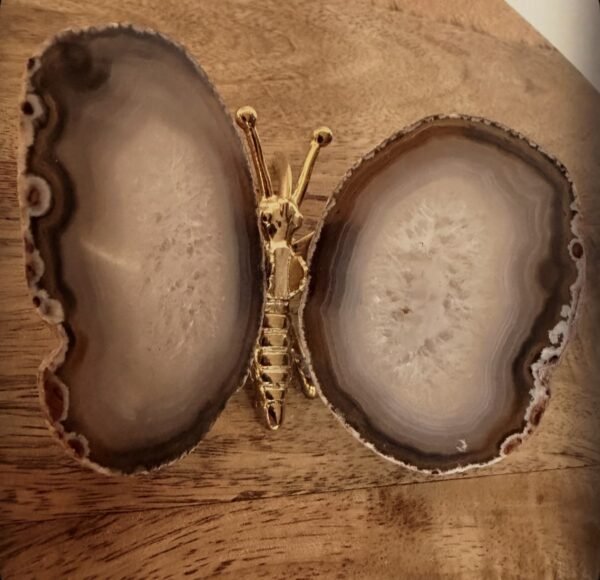 Agaat vlinder (goud) (6) Agaat vlinder (goud) (6)