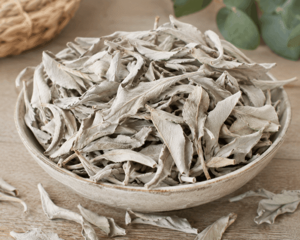 witte salie (zakje 30 gram) witte salie 30 gram