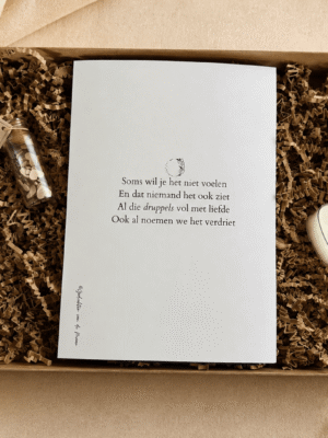 brievenbus cadeautje brievenbus cadeautje