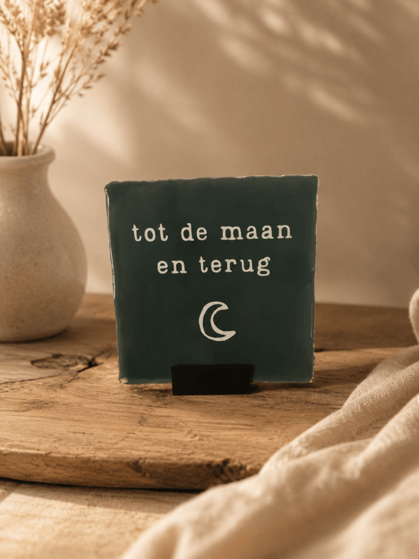 tot de maan en terug tot de maan en terug